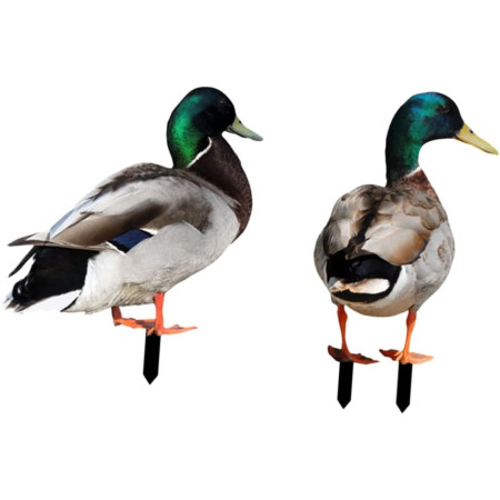 Set 2 Decoratiuni de Gradina,  Model Rata, Tip Placa, Grosime 3 mm, Fata-Verso, Multicolor