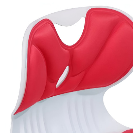 Suport pentru Scaun, Cyrax, pentru Corectarea Posturii, Portabil, Ergonomic, Ameliorare Durere, Respirabil, 36x34x33 cm, Marime L, Rosu